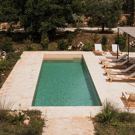 Helloapulia Il Mirteto * Selva Di Fasano